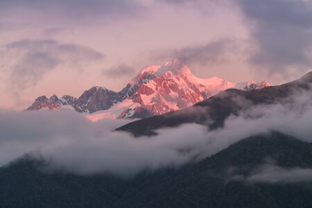 Sunset on the meadows of the Fox Glacier / Te Moeka by Tuawa. It is located in Westland Tai Poutini...