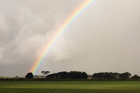 Summer green grass pasture, field, with trees and rainbow in the blue sky. Stormy summer sky.の写真素材