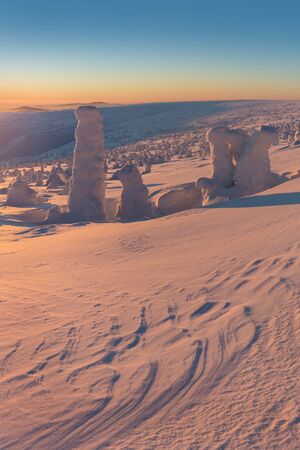 Beautiful winter nature landscape. Scenic image of forests. Frosty day. Christmas time. Excellent...