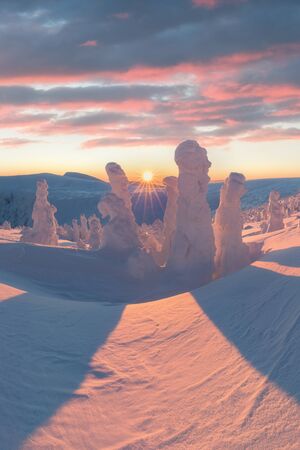 Beautiful winter nature landscape. Scenic image of forests. Frosty day. Christmas time. Excellent winter wallpaper. Explore the beauty of the country.の写真素材