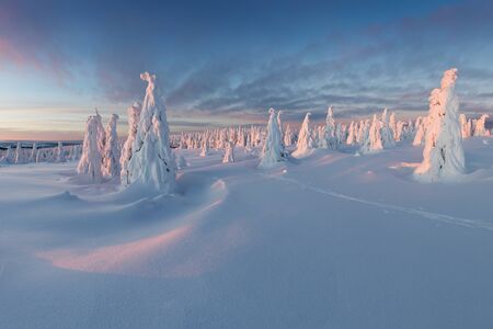 Beautiful winter nature landscape. Scenic image of forests. Frosty day. Christmas time. Excellent...