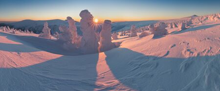 Beautiful winter nature landscape. Scenic image of forests. Frosty day. Christmas time. Excellent winter wallpaper. Explore the beauty of the country.の写真素材