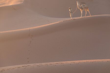 Bedouin and camel on the desert through the desert Beautiful sunset with caravan on Sahara, Morocco...
