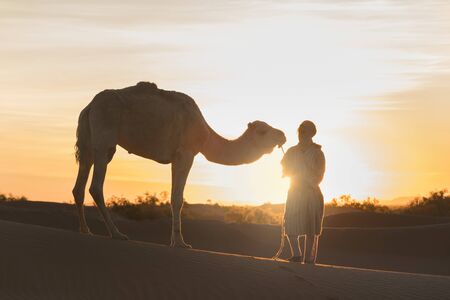 Bedouin and camel on the desert through the desert Beautiful sunset with caravan on Sahara, Morocco Desert with camel and nomads Silhouette nomad man with dramatic sky Picturesque background nature conceptの写真素材