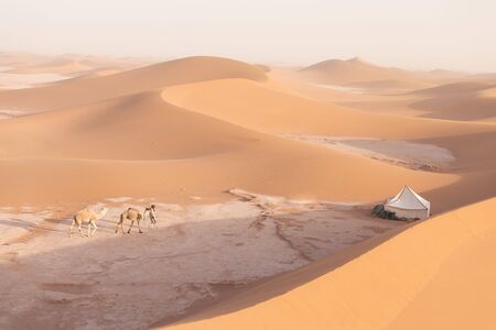 Camp with tent in the desert among sandy dunes. Sunny day in the Sahara during a sand storm in Morocco Picturesque background nature conceptの写真素材