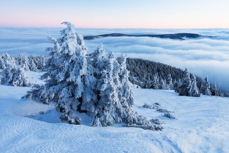 At 10,492 feet high, Mt Jefferson is Oregon's second tallest mountain. Mount Jefferson Wilderness...