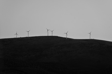 Wind farm in Croatia at dusk  black and white の写真素材