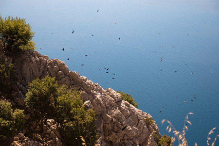 Beautiful hill and Adriatic Sea in Dalmatia, Croatia