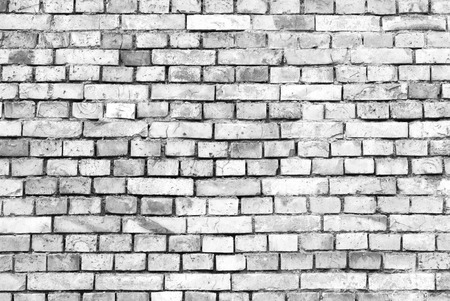 Brick Wall の写真素材