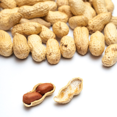 Photo of peanuts on white with soft shadow.