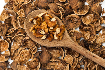 Walnuts on the wooden spoon against nutshell backgroundの写真素材