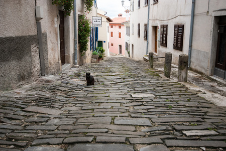 Photo of Famous Motovun, Istra, Croatiaのeditorial素材