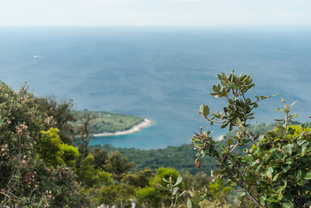 Photo of Adriatic Sea, Losinj Island, Croatiaの写真素材