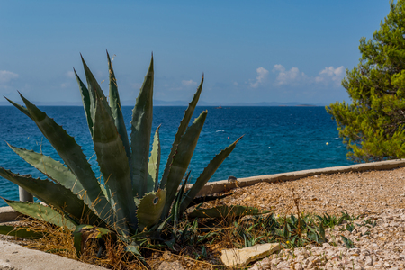 Photo of Idilic view on the mediterranean sea, Murter, Dalmatia, Croatiaの写真素材