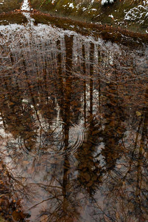 Photo of beautiful snowy forest, wintertime walk in Polish mountainsの写真素材