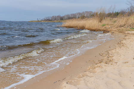Photo of beautiful lake, springtime. Dzierzno Lake, Silesia, Polandの写真素材