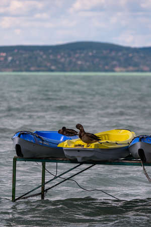 Photo of Colorful Pedalos at the Balaton Lake, Siofok, Hungary. Dramatic cloudy sky as background. End of touris season.の写真素材