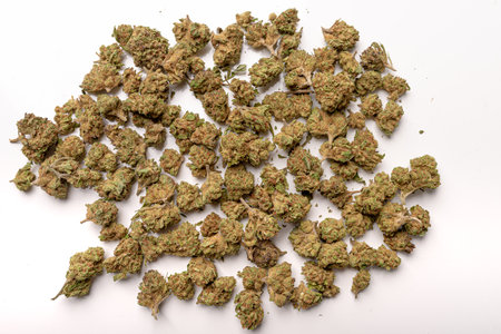 Photo of Dry marijuana buds, cannabis dried flowers, medical marijuana, laying on the white table.