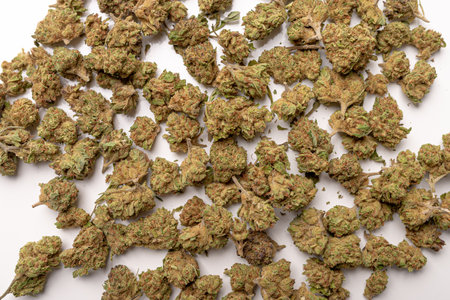 Photo of Dry marijuana buds, cannabis dried flowers, medical marijuana, laying on the white table.の写真素材