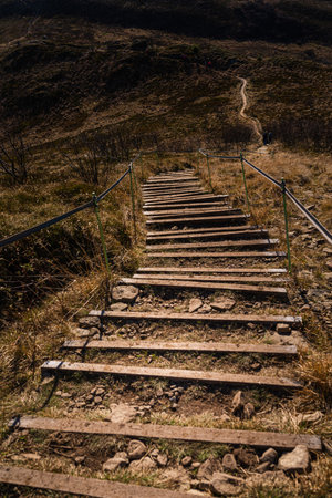 Trail from Krzemien to Goprowska Pass (pol. PrzeÅÄcz Goprowska) in Bieszczad Mountains, Polandの写真素材
