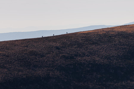 Photo of three unrecognized tourist walking on the Szeroki Wierch in Bieszczady Mountains, Polandの写真素材