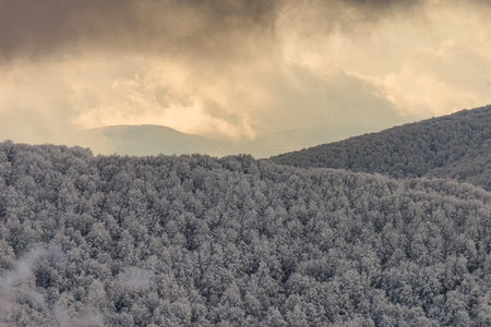 A stunning multi-layered winter mountain panorama featuring frost-covered forests and distant peaks...