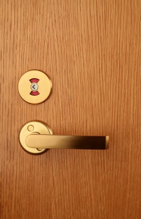 The closed door with handle and locked latch