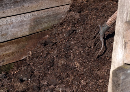Working in the garden: compost pile with a rustic pitchfork