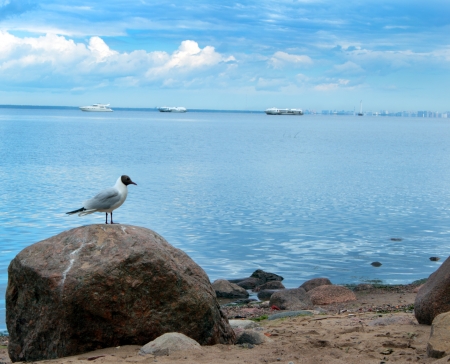View from the coast of Baltic seaの写真素材