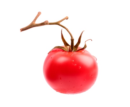 Fresh red tomato on the branch isolated on white backgroundの写真素材
