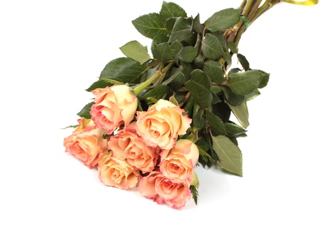 Peach roses bouquet isolated on white backgroundの写真素材