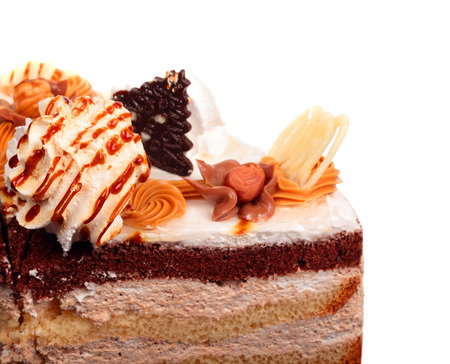 Biscuit cake  isolated on white backgroundの写真素材