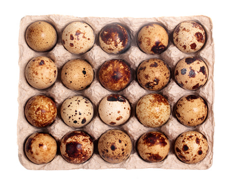 Twenty quail eggs in the package isolated on white background