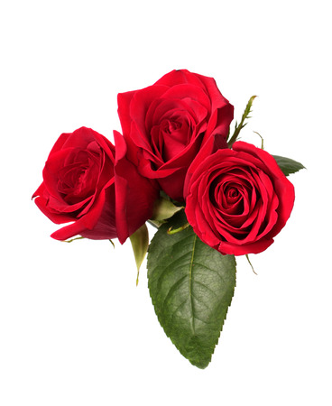 Three red roses isolated on white backgroundの写真素材