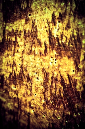 Card tattered papyrus with traces of fire