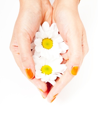 Beautiful hands with white flowers on a white backgroundの写真素材