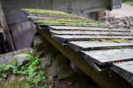 Old shingle type roof tile.の写真素材