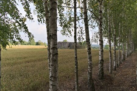 A bunker in the field.の写真素材
