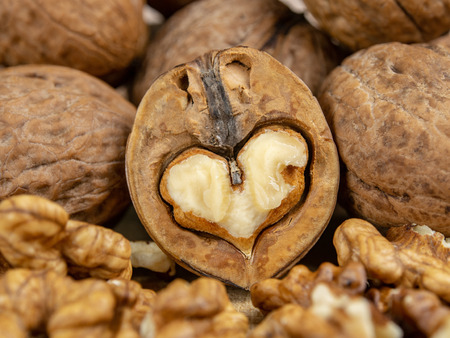 A half of walnut with a heart-shaped cross-section.の写真素材
