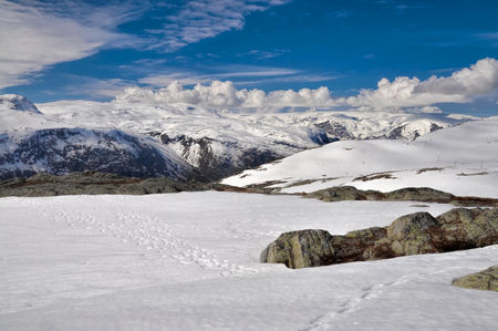 Mossy rocks peeking out of snow near Trolltunga, Norwayの写真素材