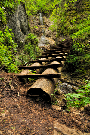 Close-up view of one of the wooden ladders in Slovak Paradise National Park in Slovakiaの写真素材