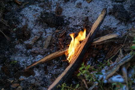 Solitary flame burning on two splinters on the cold groundの写真素材