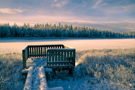 Breathtaking view of a winter forest and a wooden viewpointの写真素材