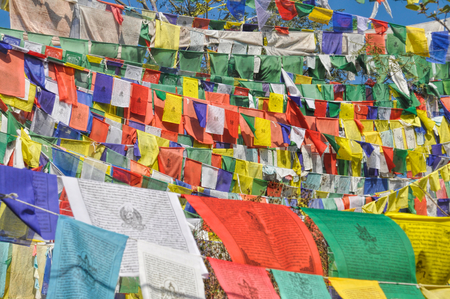 Colorful buddhist prayer flags in town of  Dharamshala, Indiaの写真素材