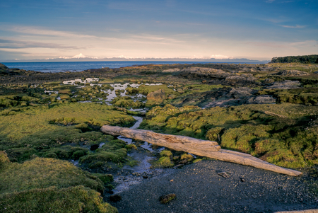 Picturesque view of little grassy islands surrounded by water in Isla Laitecの写真素材