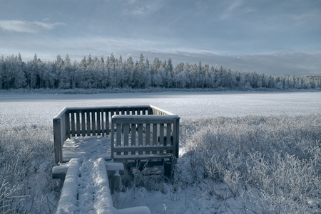 Gloomy view of a frozen forest and a wooden viewpointの写真素材