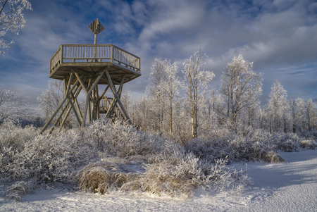 Amazing view of a frozen wooden look-out at the edge of a forestの写真素材