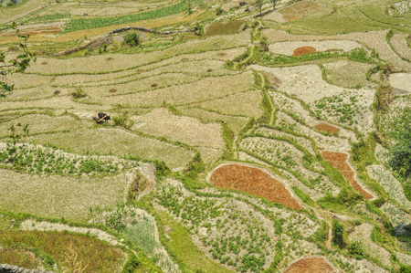 Amazing view of Nepalese terraced fields from aboveの写真素材