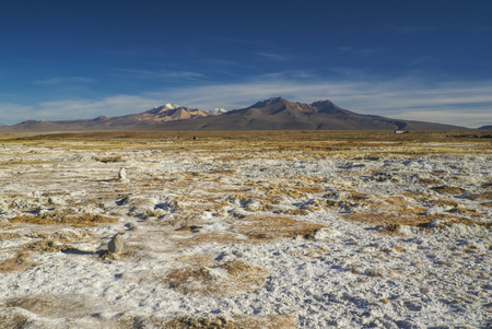 Picturesque view of bolivian Sajama national park and some of its highest peaksの写真素材