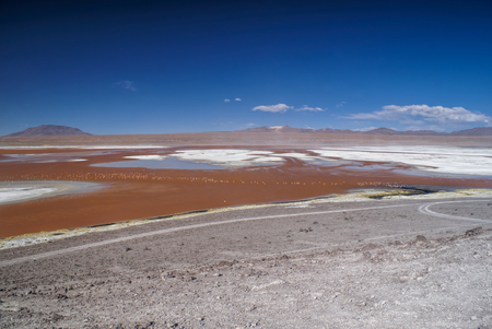 Red lake dotted with flamingos in bolivian desert near Salar de Uyuniの写真素材